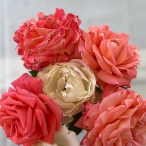 Meet your Posher, Rebecca